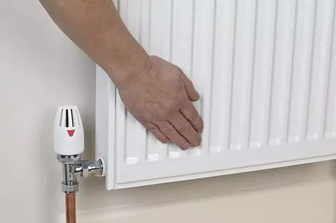 Başakşehir Petek Temizleme Hizmeti Resim